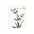 Picture of Rowan Tree _GroupedProduct_Rectangle_Portrait_Unframed_Print_Only_
