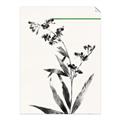 Picture of Rowan Tree _GroupedProduct_Rectangle_Portrait_Unframed_Print_Only_
