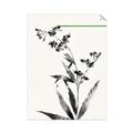 Picture of Rowan Tree _GroupedProduct_Rectangle_Portrait_Unframed_Print_Only_