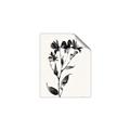 Picture of Black flower II (Ink border black ) _GroupedProduct_Rectangle_Portrait_Unframed_Print_Only_