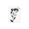 Picture of Black flower II (Ink border black ) _GroupedProduct_Rectangle_Portrait_Unframed_Print_Only_