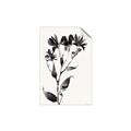 Picture of Black flower II (Ink border black ) _GroupedProduct_Rectangle_Portrait_Unframed_Print_Only_