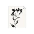 Picture of Black flower II (Ink border black ) _GroupedProduct_Rectangle_Portrait_Unframed_Print_Only_