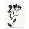 Picture of Black flower II (Ink border black ) _GroupedProduct_Rectangle_Portrait_Unframed_Print_Only_