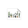 Picture of Pots with plants _GroupedProduct_Rectangle_Landscape_Unframed_Print_Only_
