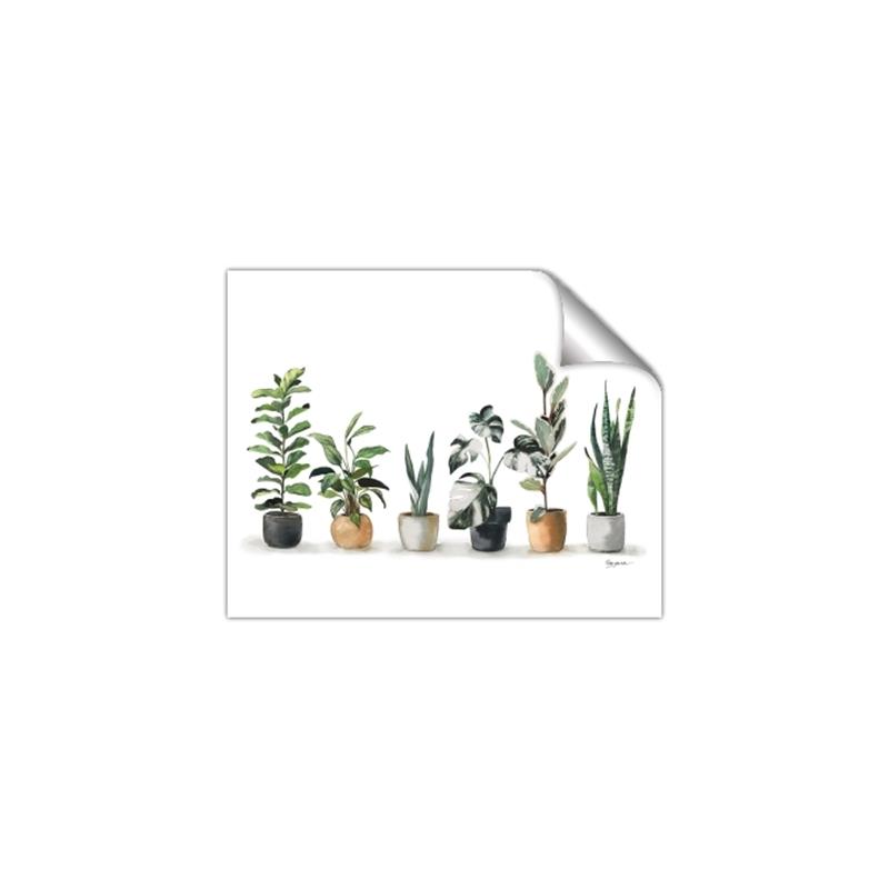 Picture of Pots with plants _GroupedProduct_Rectangle_Landscape_Unframed_Print_Only_