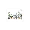 Picture of Pots with plants _GroupedProduct_Rectangle_Landscape_Unframed_Print_Only_