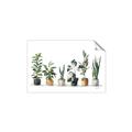 Picture of Pots with plants _GroupedProduct_Rectangle_Landscape_Unframed_Print_Only_