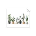 Picture of Pots with plants _GroupedProduct_Rectangle_Landscape_Unframed_Print_Only_