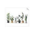 Picture of Pots with plants _GroupedProduct_Rectangle_Landscape_Unframed_Print_Only_