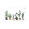 Picture of Pots with plants _GroupedProduct_Rectangle_Landscape_Unframed_Print_Only_