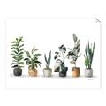 Picture of Pots with plants _GroupedProduct_Rectangle_Landscape_Unframed_Print_Only_