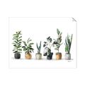 Picture of Pots with plants _GroupedProduct_Rectangle_Landscape_Unframed_Print_Only_