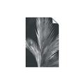 Picture of Pinneedles I _GroupedProduct_Rectangle_Portrait_Unframed_Print_Only_