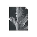 Picture of Pinneedles I _GroupedProduct_Rectangle_Portrait_Unframed_Print_Only_