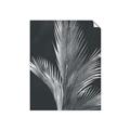 Picture of Pinneedles I _GroupedProduct_Rectangle_Portrait_Unframed_Print_Only_