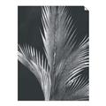 Picture of Pinneedles I _GroupedProduct_Rectangle_Portrait_Unframed_Print_Only_