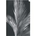 Picture of Pinneedles I _GroupedProduct_Rectangle_Portrait_Unframed_Print_Only_
