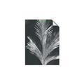 Picture of Pinneedles II _GroupedProduct_Rectangle_Portrait_Unframed_Print_Only_