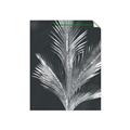 Picture of Pinneedles II _GroupedProduct_Rectangle_Portrait_Unframed_Print_Only_