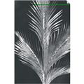 Picture of Pinneedles II _GroupedProduct_Rectangle_Portrait_Unframed_Print_Only_