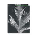Picture of Pinneedles II _GroupedProduct_Rectangle_Portrait_Unframed_Print_Only_