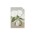 Picture of White Hydranga _GroupedProduct_Rectangle_Portrait_Unframed_Print_Only_