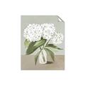 Picture of White Hydranga _GroupedProduct_Rectangle_Portrait_Unframed_Print_Only_
