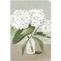Picture of White Hydranga _GroupedProduct_Rectangle_Portrait_Unframed_Print_Only_