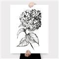 Picture of Flowers and leaves II _GroupedProduct_Rectangle_Portrait_Canvas_