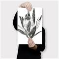 Picture of Spring Magnolia Blossoms _GroupedProduct_Rectangle_Portrait_Canvas_