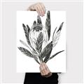 Picture of Spring Magnolia Blossoms _GroupedProduct_Rectangle_Portrait_Canvas_