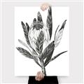 Picture of Spring Magnolia Blossoms _GroupedProduct_Rectangle_Portrait_Canvas_