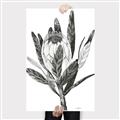 Picture of Spring Magnolia Blossoms _GroupedProduct_Rectangle_Portrait_Canvas_