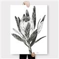 Picture of Spring Magnolia Blossoms _GroupedProduct_Rectangle_Portrait_Canvas_