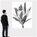 Picture of Spring Magnolia Blossoms _GroupedProduct_Rectangle_Portrait_Canvas_