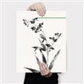 Picture of Rowan Tree _GroupedProduct_Rectangle_Portrait_Canvas_