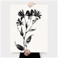 Picture of Black flower II (Ink border black ) _GroupedProduct_Rectangle_Portrait_Canvas_