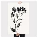 Picture of Black flower II (Ink border black ) _GroupedProduct_Rectangle_Portrait_Canvas_