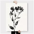 Picture of Black flower II (Ink border black ) _GroupedProduct_Rectangle_Portrait_Canvas_