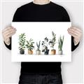 Picture of Pots with plants _GroupedProduct_Rectangle_Landscape_Canvas_