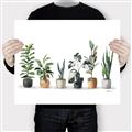 Picture of Pots with plants _GroupedProduct_Rectangle_Landscape_Canvas_