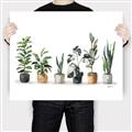 Picture of Pots with plants _GroupedProduct_Rectangle_Landscape_Canvas_