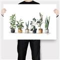 Picture of Pots with plants _GroupedProduct_Rectangle_Landscape_Canvas_