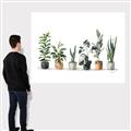 Picture of Pots with plants _GroupedProduct_Rectangle_Landscape_Canvas_