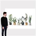 Picture of Pots with plants _GroupedProduct_Rectangle_Landscape_Canvas_