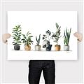 Picture of Pots with plants _GroupedProduct_Rectangle_Landscape_Canvas_
