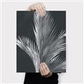 Picture of Pinneedles I _GroupedProduct_Rectangle_Portrait_Canvas_