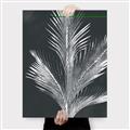 Picture of Pinneedles II _GroupedProduct_Rectangle_Portrait_Canvas_