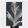 Picture of Pinneedles II _GroupedProduct_Rectangle_Portrait_Canvas_